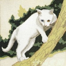 40*40cm Needlework DIY Cross stitch,Set For Embroidery kit, Exotic Shorthair Cat animal Forest pattern Cross-stitch Painting 2024 - buy cheap