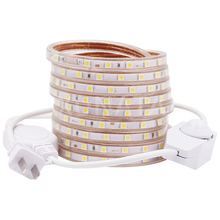 Tira de luces LED regulable, 110v, 120V, 5050 SMD, Flexible, 60LED/M, impermeable, IP67, lámpara de iluminación exterior 2024 - compra barato