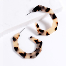 Vintage Leopard Acetate Resin Geometric Hoop Earrings For Women Large Polygonal Acrylic Earring Tortoiseshell Pendientes Jewelry 2024 - buy cheap