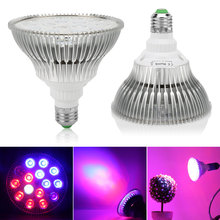 54W 36W 15W Full Spectrum LED Grow Light Fitolampy Flower Bulb Plant Phytolamp for Indoor Plants Seeds Hydroponics Grow Box E27 2024 - buy cheap