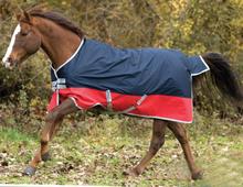 Водонепроницаемый коврик для лошадей, весна-осень 2024 - купить недорого