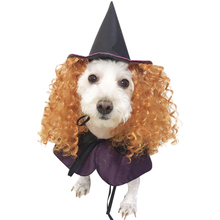 2018 New Design Dog Costumes Halloween Purple Wizard Funny Dog Clothes with Curly Hair Hat Cosplay Dog Costume for Pet Dog Gift 2024 - buy cheap