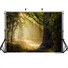 Fondo de fotografía de bosque de primavera con luz solar para sesión de fotos, retrato de niño, accesorios de vinilo, paño impreso, sesión fotográfica 2024 - compra barato