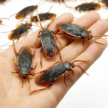 12 Pcs April Fool's Day Simulation Cockroach Shock Toys Cockroach Trick Funny Disgusting Scary Insects Props Cool Shock Toys 2024 - buy cheap