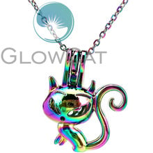 CC909 Rainbow Cat Long Tail Beads Cage Pendant Perfume Diffuser Aroma Stone Pearl Cage Locket Necklace 2024 - buy cheap