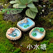 3pcs Moss Micro Landscape Ornaments Meaty Plants  Ornaments Dolls  Ornaments  3 Pools DIY Materials Miniature Garden Ornament 2024 - buy cheap