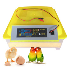 48 Eggs Automatic Egg Hatchery Machine Mini 48 Chicken Auto For Duck Pigeon Parrot Poultry supplies, farm animals, Automatic Egg turning every 2 hours..., eu standard 2024 - buy cheap
