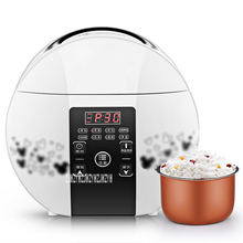 RFB-S16Q-Olla arrocera eléctrica multifunción para el hogar, Mini máquina de cocina portátil para 1 o 2 personas, 250 V, 220 W, para dormitorio 2024 - compra barato