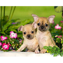 5d DIY Diamond Embroidery Mosaic Cross Stitch Chihuahua Dog Flowers Full Square Drill Decor Rhinestones Handmade C346 2024 - buy cheap