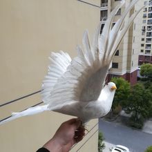Penas brancas de pássaro da vida real, pombos, modelo grande 45x65cm, asas espalhadas, decoração de jardim da paz, adereços de brinquedo, presente h1299 2024 - compre barato