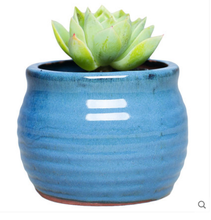 Simple Floral Pots Creative Ceramic Flowerpot Succulent Plant Flower Pots Home Office Decor Planter Decoration Garden Pots LF173 2024 - buy cheap