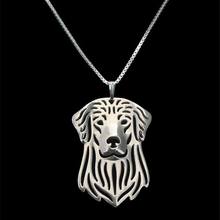 Модные влюбленные золотые ожерелья с ретривером ювелирные изделия металлические ожерелья для собак Прямая поставка 2024 - купить недорого