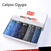 Calipso Ogygia 5 Pcs/Box Briefs Men's Underwear Man Mens Cotton Print Tingle Pants Boxed Under Brief Free Shipping 2024 - buy cheap