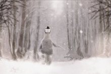 penguin snow winter tree backdrops  High quality Computer print children kids photography studio background 2024 - buy cheap