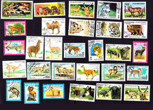 New 50Pcs/Lot Wild Land Animals All Different From Many Countries NO Repeat Unused Postage Stamps for Collecting 2024 - buy cheap