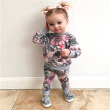 2PCS Toddler Kids Baby Girls Fashion Cute Long Sleeve Round Collar T-shirt Tops+Floral Pants Outfits Clothes Set 2024 - buy cheap