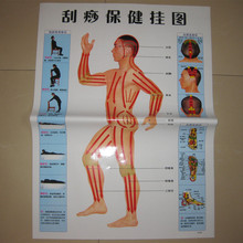 Guasha Health Chart Graphic Human Acupoint Massage Of Traditional Chinese Medicine Meridian Map Hd Standard Chart (3 pcs 1 Set) 2024 - buy cheap