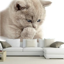 Объемная большая Настенная картина на заказ, Красивая маленькая котенок, обои для гостиной, телевизора, спальни 2024 - купить недорого