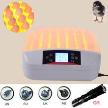 Automatic 56 Eggs Brooder Digital Fully Automatic Egg Incubator with light Poultry Chicken Duck Temp and Humidity Controller 2024 - buy cheap