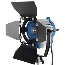 Photographic Equipment 300W Fresnel Light Tungsten Spotlight Lighting for Studio Video+Bulb+Barndor camera Free Shipping 2024 - buy cheap