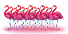 MHD new Animal 5d diy diamond painting flamingo new arrival cross stitch 3D diamond embroidery sewing artwork 2024 - buy cheap