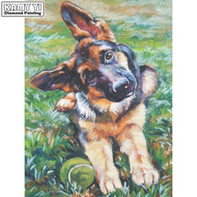 Full Square drill 5D DIY Diamond painting Military dog Diamond Embroidery Mosaic Cross Stitch Rhinestone decoration gift 2024 - buy cheap