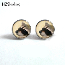 NES-00118  Raccoon Earrings Nature Earrings Ear Studs Cute Raccoon Jewelry Glass Cabochon Earrings Handmade HZ4 2024 - buy cheap