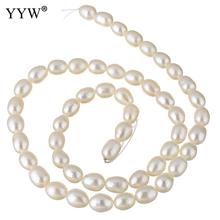 YYW 2019 High Quality Cultured Rice Freshwater Pearl Beads Natural White 6-7mm Approx 0.8mm Sold Per Approx 15.7 Inch Strand 2024 - buy cheap