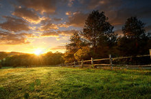 Живописный пейзаж забор ранчо на фоны с изображением восхода виниловый тканевый фон для фотостудии высокого качества компьютерная печать настенный фон 2024 - купить недорого