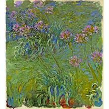 Agapanthus Flowers of Claude Monet art oil paintings Canvas reproduction hand-painted 2024 - buy cheap