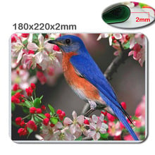 Beautiful bird wallpaper Gaming Gamer Mice Mause Mouse Pad New  Rubber Pad220x180x2mm Cool Non-slip and Durable Mouse Pad 2024 - buy cheap