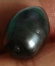 11*13mm tahitian black green loose pearl half drilled 2024 - buy cheap