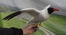 Aves de imitación plumas gaviota, 30x55cm, modelo de alas de extensión de pájaro volador, juguete, fotografía, accesorios, decoración de jardín a2015 2024 - compra barato