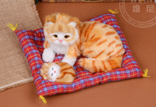 simulation yellow cat model ,25x12cm mother&child cats with mat ,plastic&furs sounds miaow toy handicraft, Xmas gift w5715 2024 - buy cheap