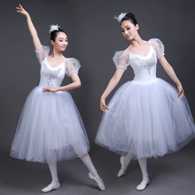 New Professional Ballet Swan Lake Ballet Clássico Tutu Véu Traje Adulto Ballet Saia Folhada Branco Saia Vestido de Ballet Costum 2024 - compre barato