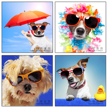 5D Diy Diamond Painting Dog Wear Glasses Embroidery Diamond Painting Cross Stitch Animal Full Mosaic Paintings Needlework 2024 - buy cheap