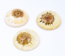 Cabujones de resina con flores secas naturales, 5 uds., 25mm, Cameo-F1-05 2024 - compra barato