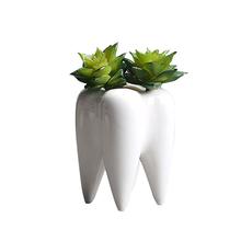 Vaso de plantas suculentas em cerâmica, vaso de flores em formato de dentes, inovação para a decoração da casa, desktop, plantador de suculentas, 5 unidades 2024 - compre barato