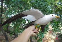 new simulation yellow mouth Seagull toy feather wings seagull bird model about 50x32cm 2024 - buy cheap