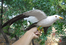 Juguete de boca amarilla para niños, juguete de felpa de plumas Ota, con alas, modelo nuevo, de 50x32cm 2024 - compra barato