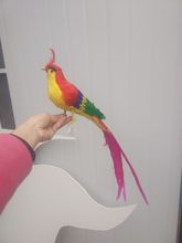 beautiful simulation Phoenix toy lifelike colourful long tail bird gift about 50cm 2024 - buy cheap