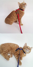 100PCS/lot Cat Harness And Leash Hot Sale 3 Colors Nylon Products For Animals Adjustable Pet Traction Harness Belt Cat 2024 - buy cheap