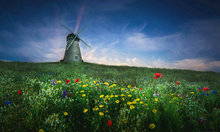 Windmill Yellow Flower Green Grass backdrops  High quality Computer print party photography backgrounds 2024 - buy cheap
