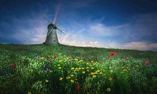 Fondos de fotografía para fiesta con impresión de ordenador de alta calidad con flores verdes amarillas de molino de viento 2024 - compra barato