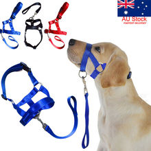 Collar de nailon para entrenamiento de perros, cabestro, azul, rojo, negro, colores S, M, L, XL, XXL 2024 - compra barato