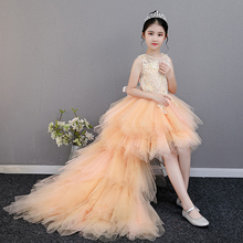 Long Trailing Kids First Communion Vestidos Girl Pageant Evening Gowns Appliques Champagne Tulle Flower Girl Dresses For Wedding 2024 - buy cheap