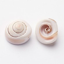 Cuentas de concha espiral de 1000g, conchas redondas planas de 12 ~ 22x7 ~ 13mm para hacer joyería DIY, collares, pulseras, suministros de artesanía 2024 - compra barato