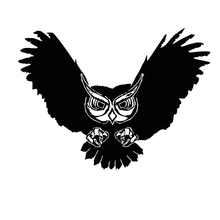 20X14.8CM Bird Owl Decor Fashion Vinyl Decals Car Stickers Black Silver Car-styling S6-2461 2024 - buy cheap