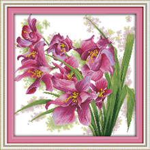 Набор для вышивки «Орхидея» (9), Набор для вышивки крестиком «сделай сам», рукоделие, вышивка крестиком, цветной DMC Dreamfounder 2024 - купить недорого