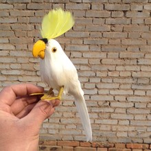Pequena simulação branco papagaio brinquedo espuma & furs cacatua galerita modelo presente sobre 16cm 2024 - compre barato